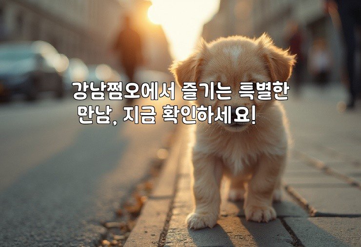강남쩜오에서 즐기는 특별한 만남, 지금 확인하세요!