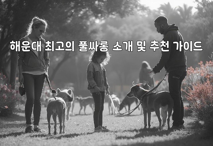 해운대 최고의 풀싸롱 소개 및 추천 가이드